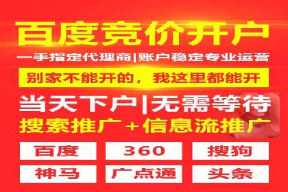 SEM投放策略优化案例分析